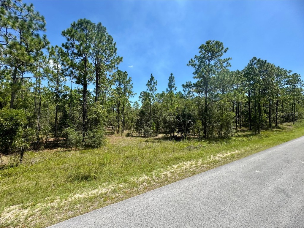 SE 105th Lane Dunnellon FL 34431 OM706398 image6