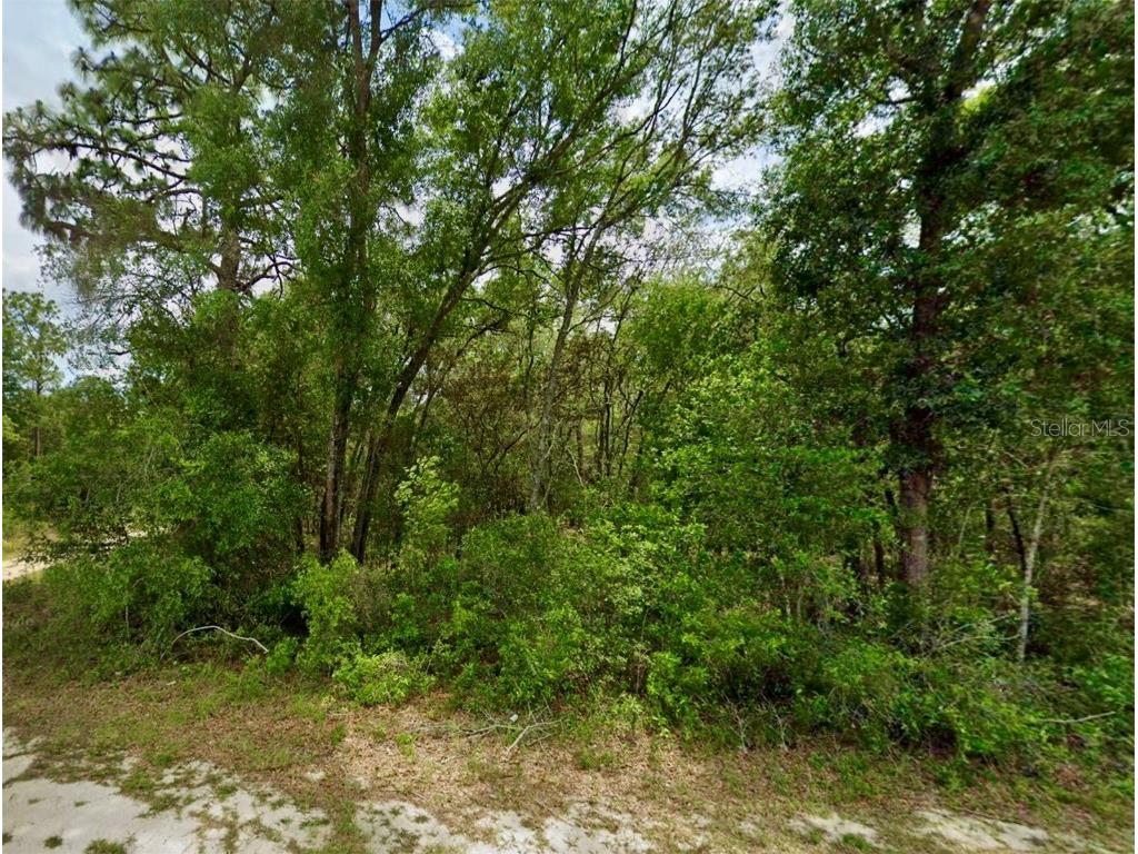 SE 106th Avenue Ocklawaha FL 32179 T3541763 image1