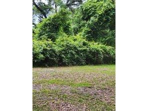 Se 108 Lane Webster FL 33597 G5063931 image1