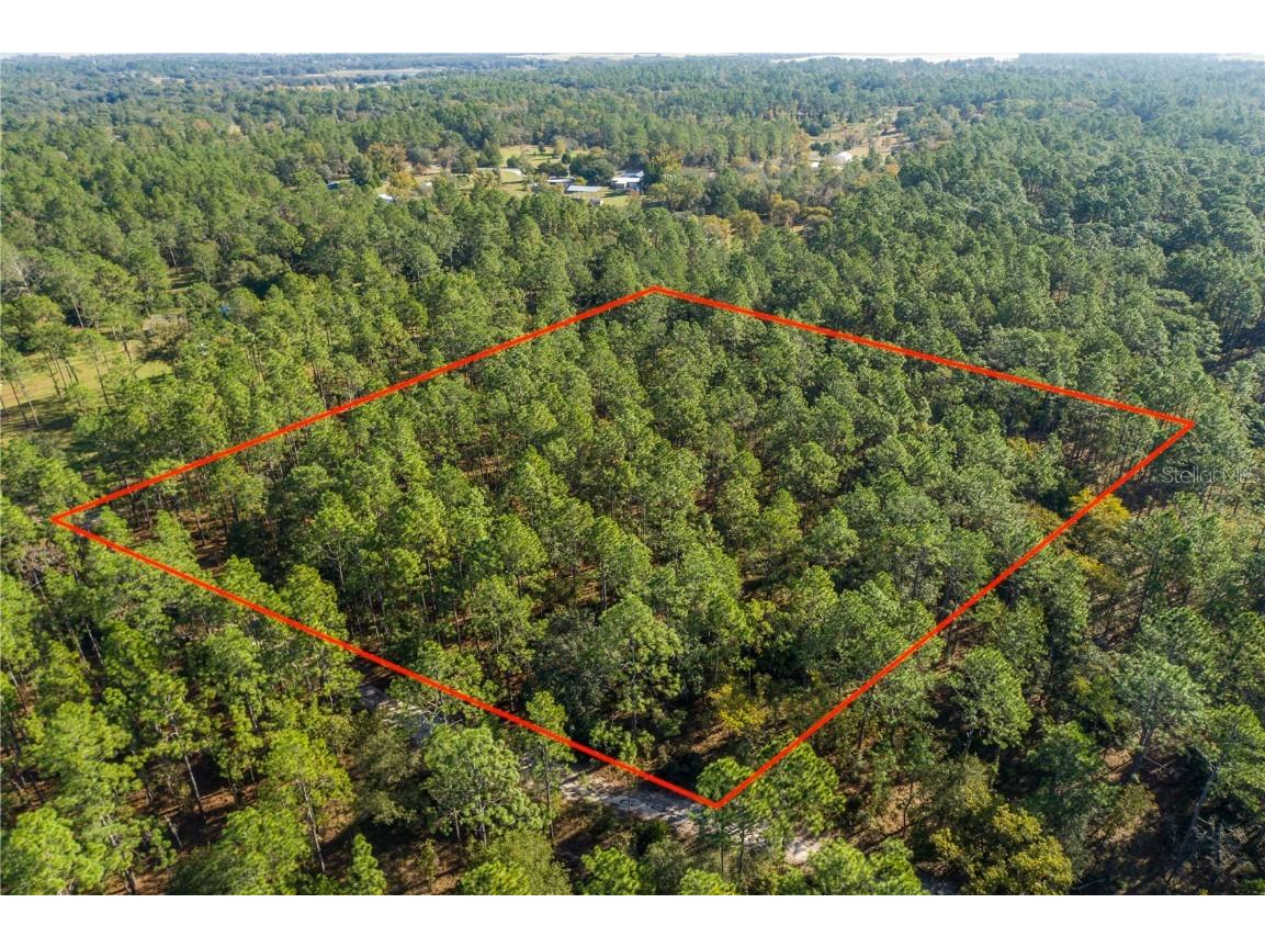 Se 108 Ter Morriston FL 32668 OM666752 image1