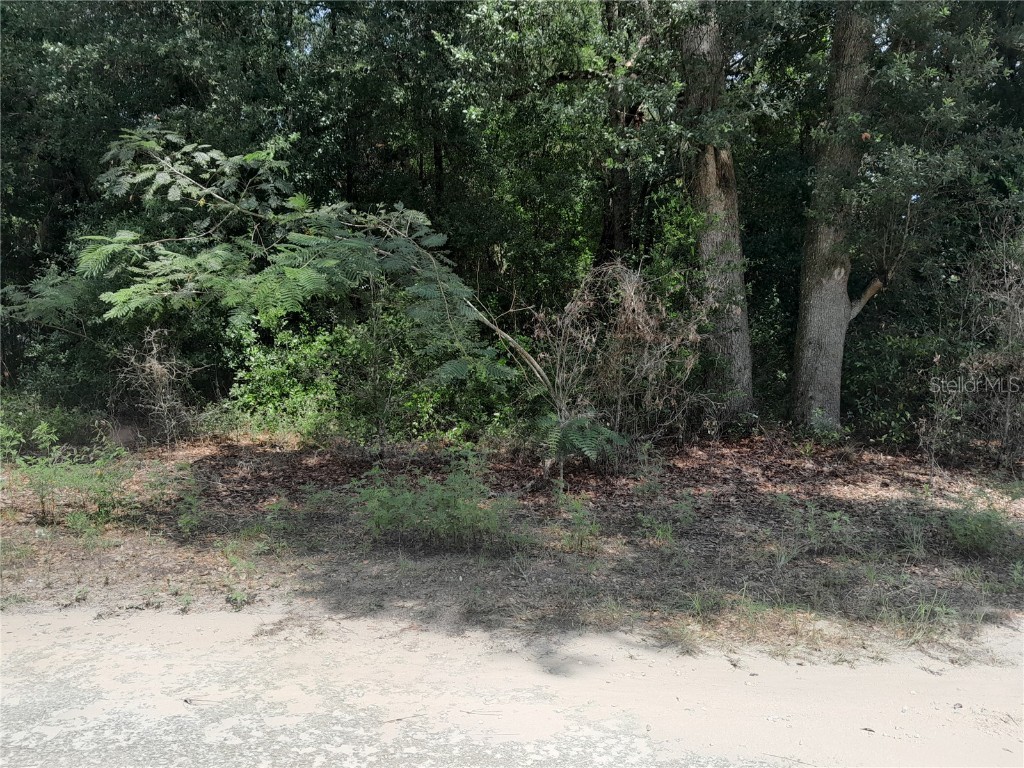 SE 108th Terrace Morriston FL 32668 OM708138 image3