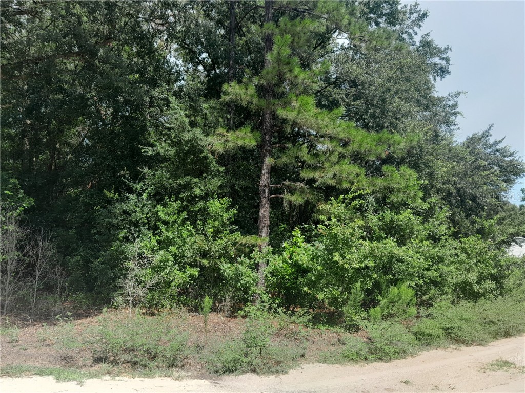 SE 108th Terrace Morriston FL 32668 OM708138 image4