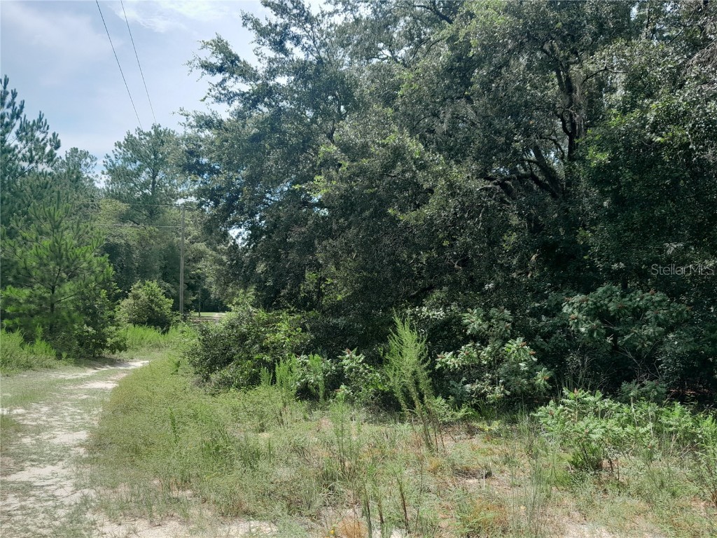 SE 108th Terrace Morriston FL 32668 OM708138 image6