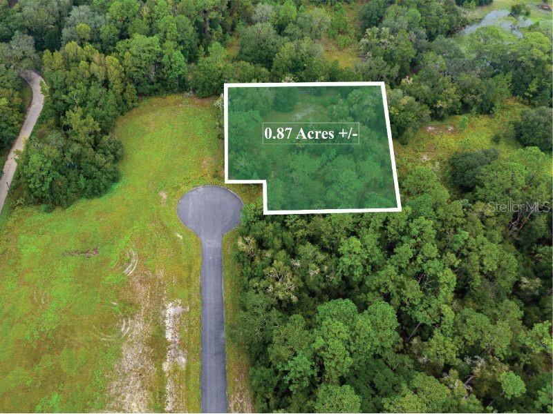 SE 109th Court Inglis FL 34449 TB8309677 image1