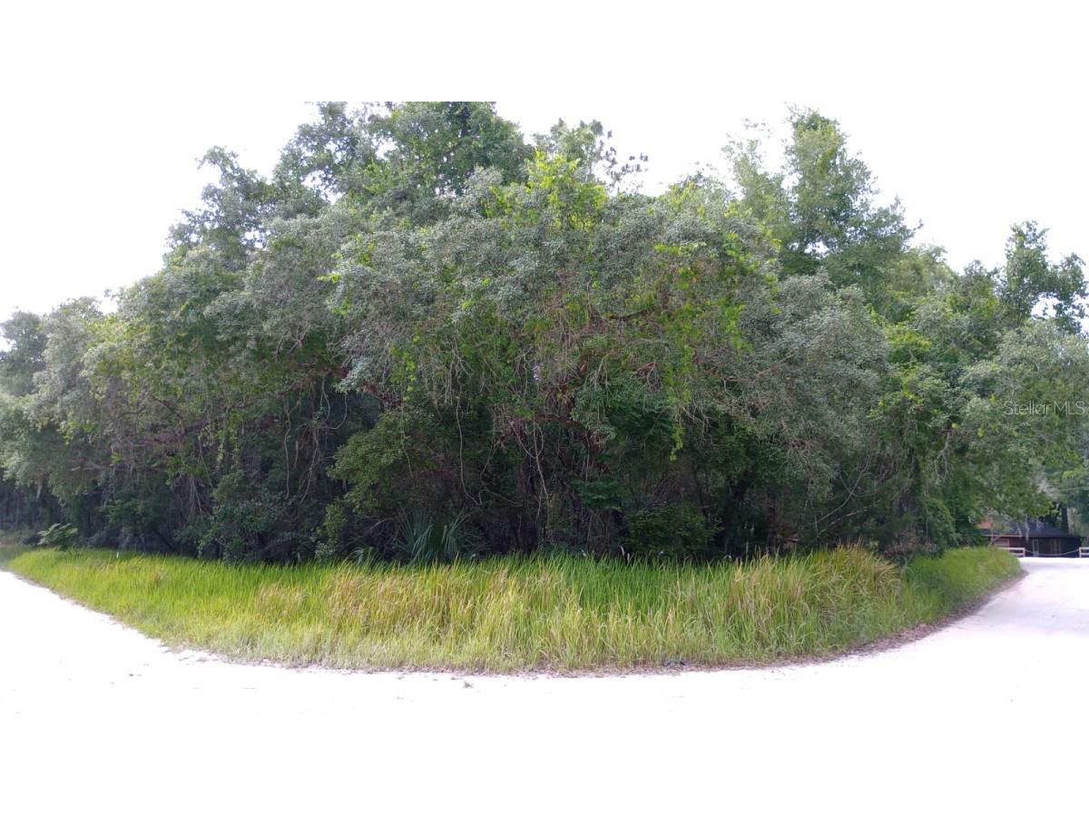 SE 10th Street Silver Springs FL 34488 A4612001 image1