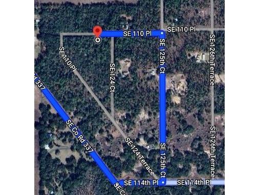 SE 110th Place Dunnellon FL 34431 OM683482 image2