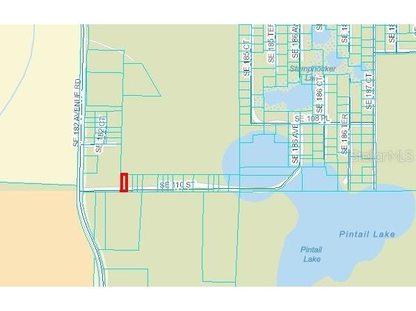 Se 110th Street Ocklawaha FL 32179 FC308005 image1