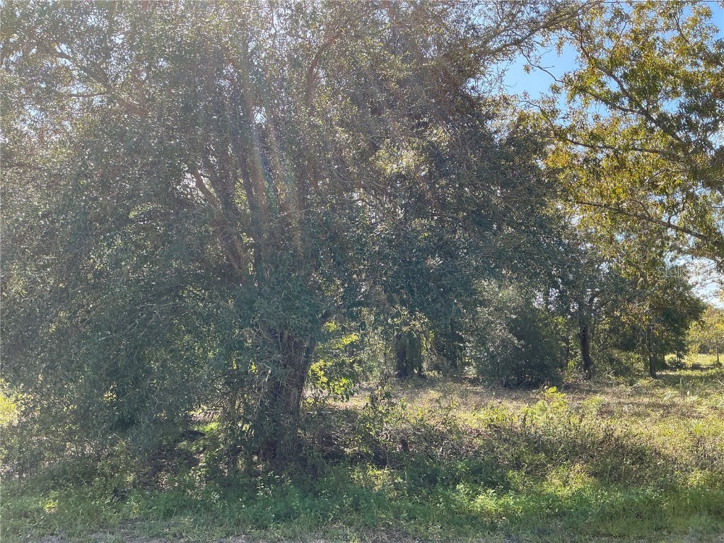 SE 112 Place Ocklawaha FL 32179 OM690783 image1