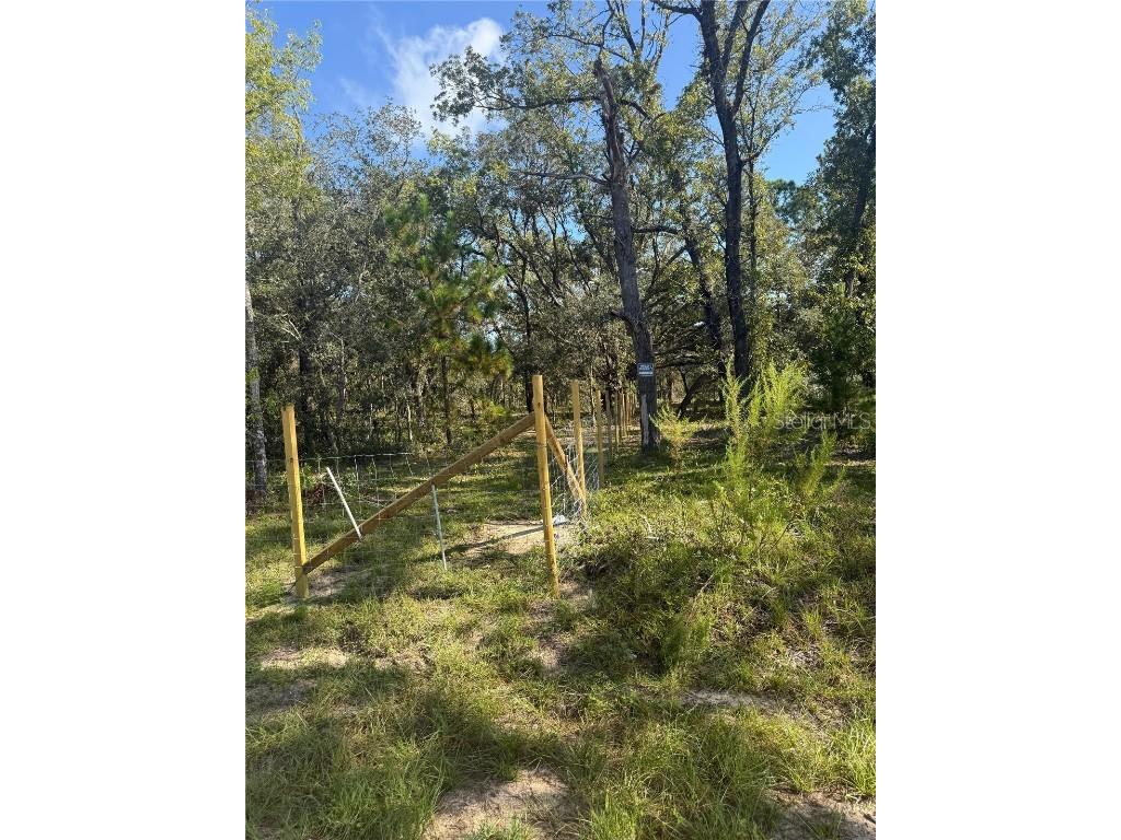 SE 112 Place Ocklawaha FL 32179 S5135769 image12