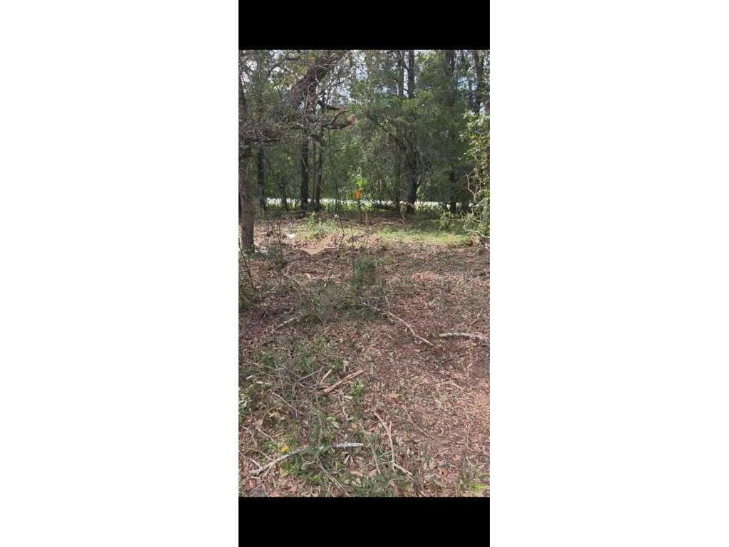 SE 112 Place Ocklawaha FL 32179 S5135769 image2