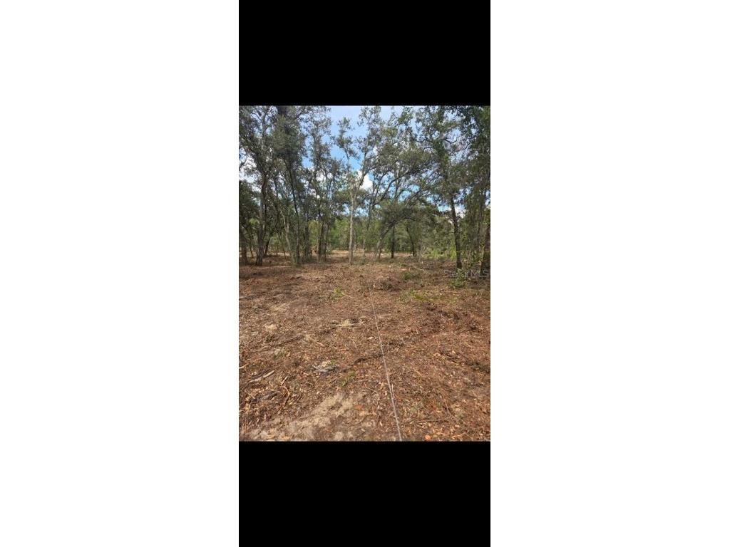 SE 112 Place Ocklawaha FL 32179 S5135769 image3