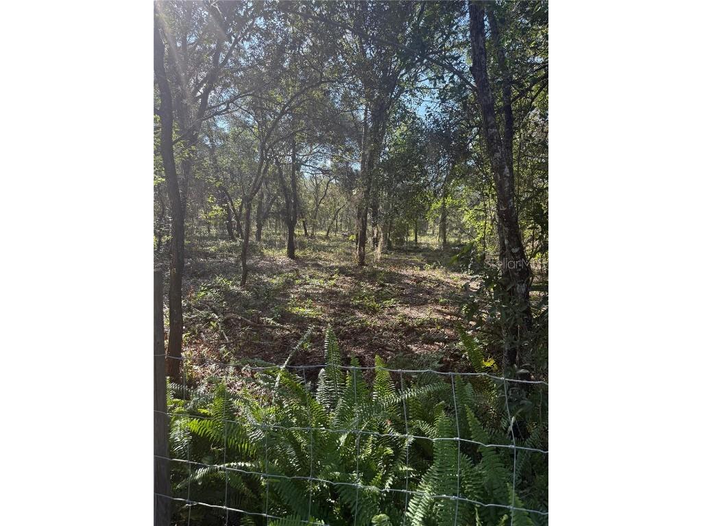 SE 112 Place Ocklawaha FL 32179 S5135769 image4