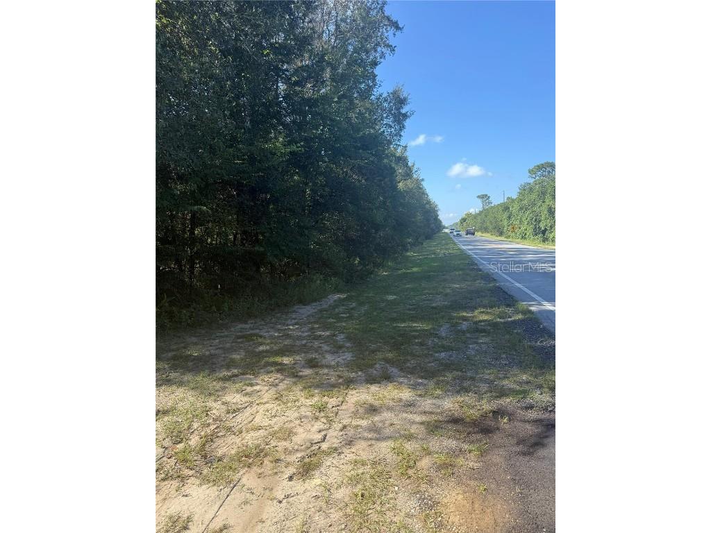 SE 112 Place Ocklawaha FL 32179 S5135769 image5