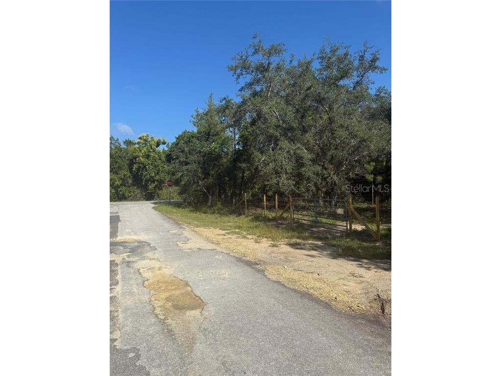 SE 112 Place Ocklawaha FL 32179 S5135769 image6