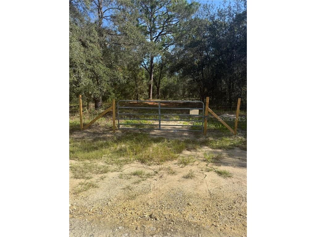 SE 112 Place Ocklawaha FL 32179 S5135769 image7