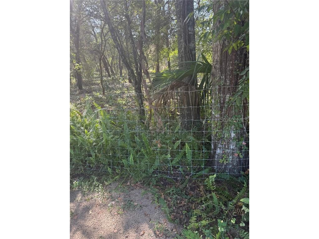 SE 112 Place Ocklawaha FL 32179 S5135769 image9