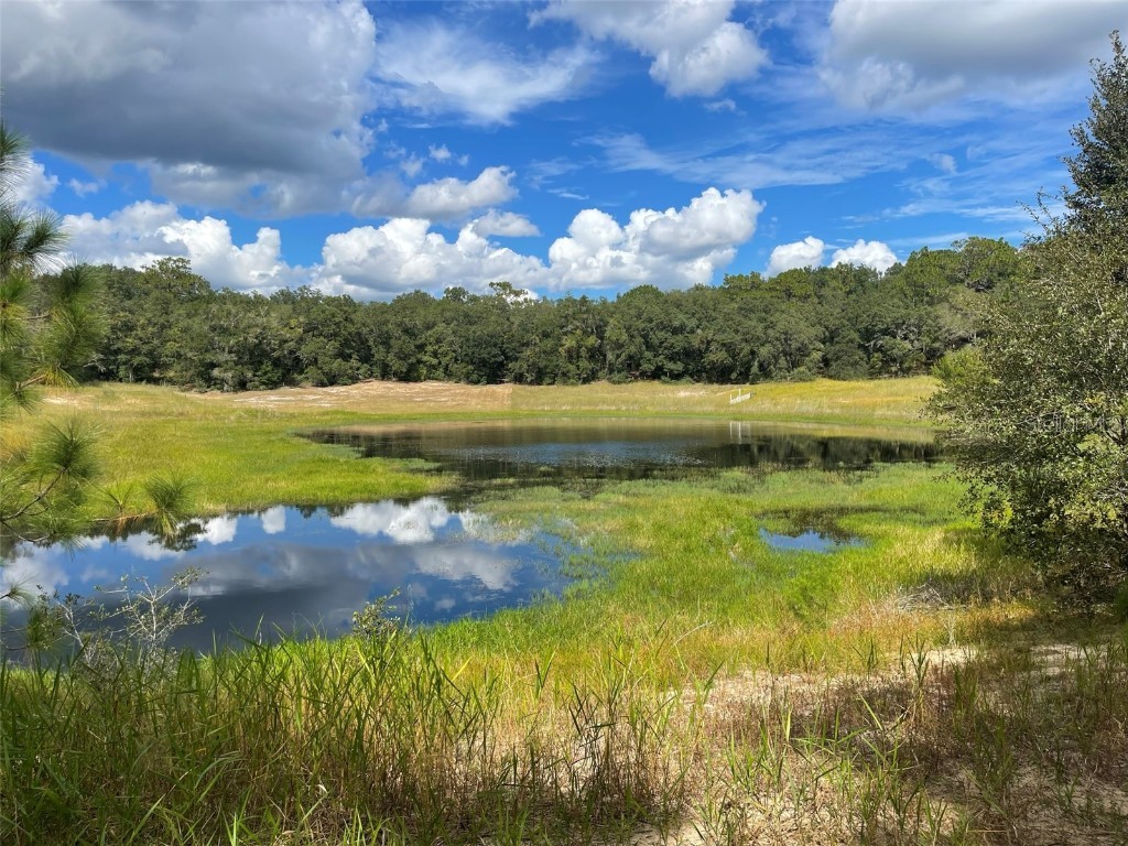 SE 113th Street Rd Ocklawaha FL 32179 - Deep Lake OM647571 image1