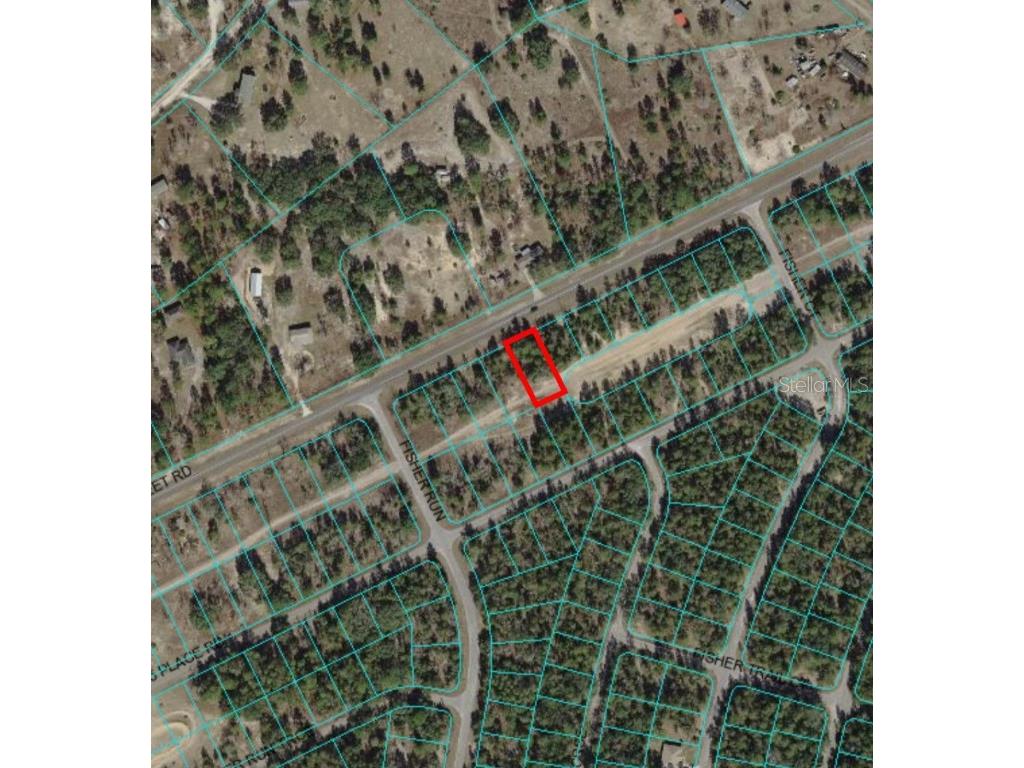 SE 113th Street Road Ocklawaha FL 32179 A4584872 image1