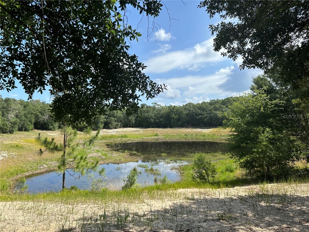 SE 113th Street Road Ocklawaha FL 32179 - Deep Lake OM679643 image1