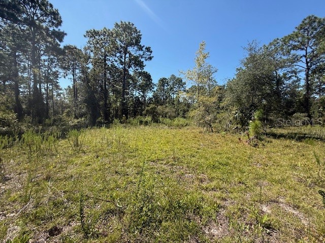 Se 114th Pl Dunnellon FL 34431 TB8432152 image1