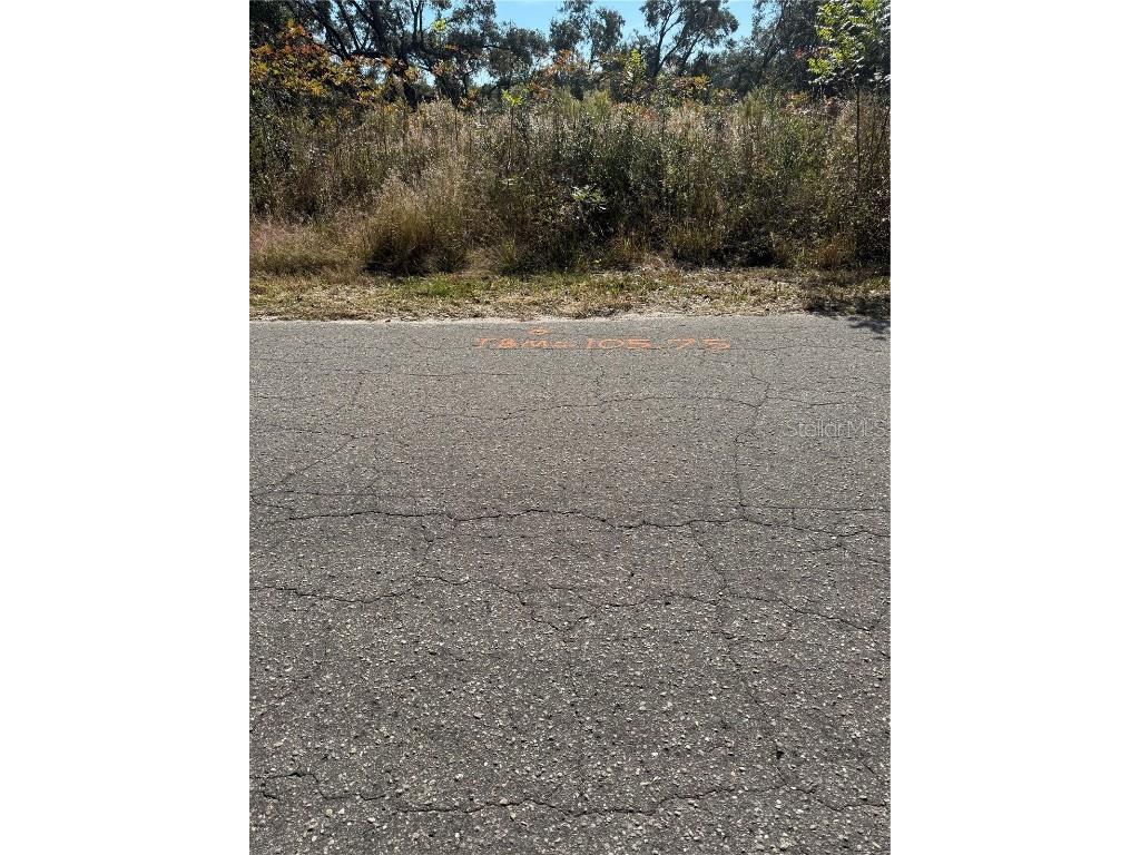 SE 115 Place Road Ocklawaha FL 32179 G5104731 image5