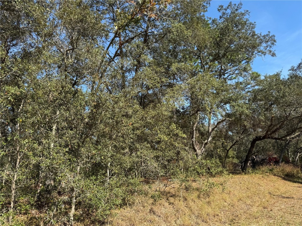 SE 115 Place Road Ocklawaha FL 32179 G5104731 image6