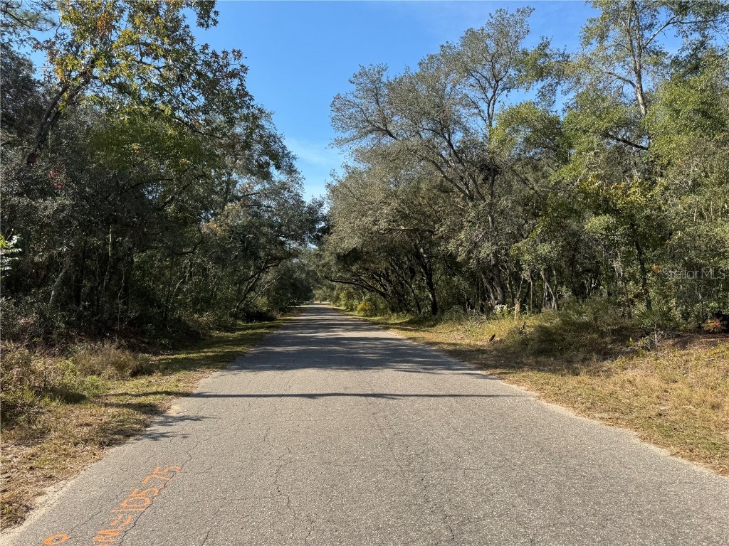 SE 115 Place Road Ocklawaha FL 32179 G5104731 image7