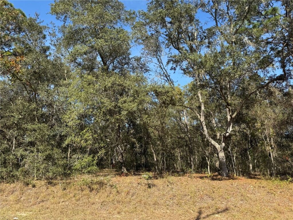 SE 115 Place Road Ocklawaha FL 32179 G5104731 image8