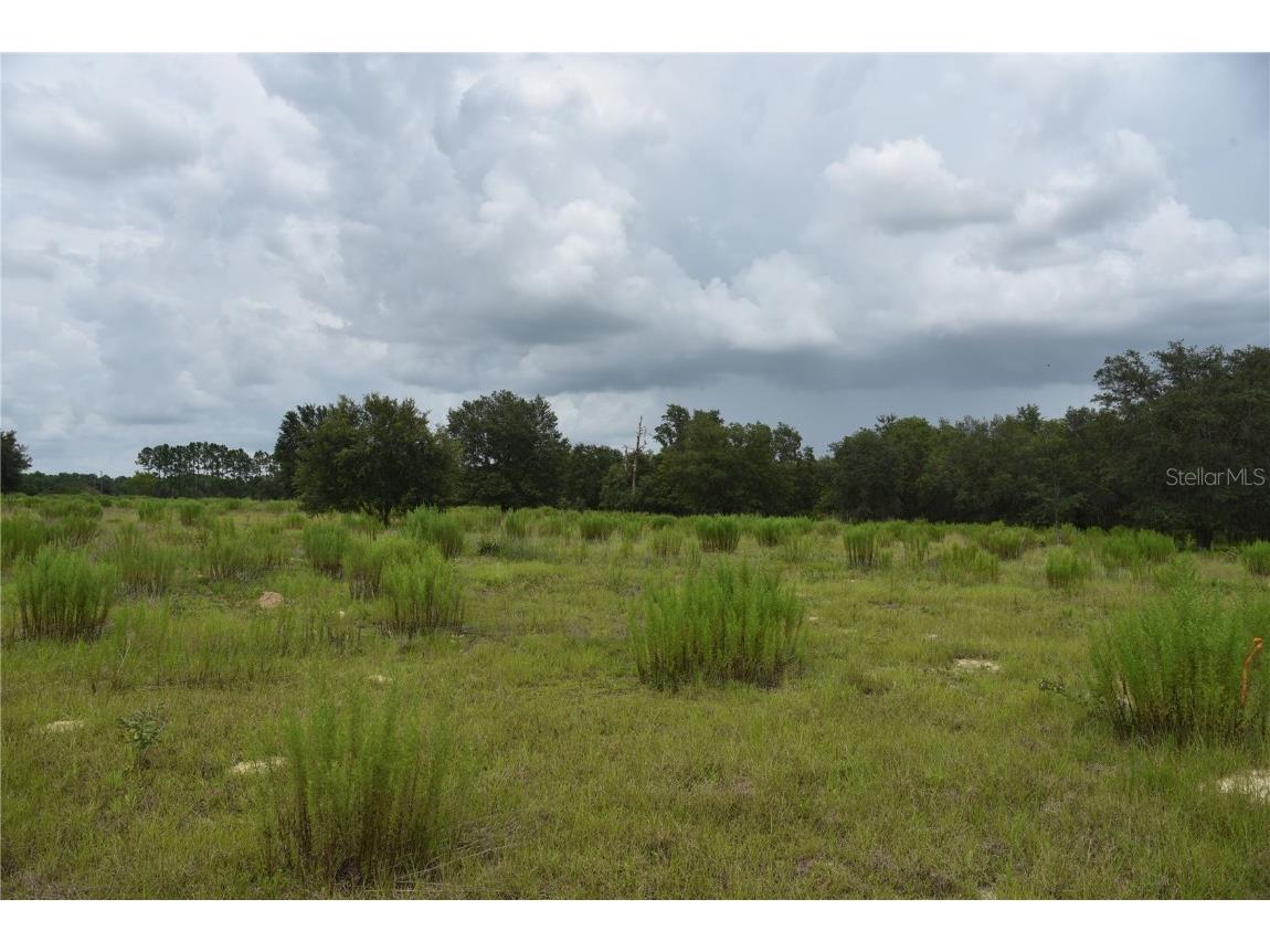 Se 115 Th Ave Morriston FL 32668 OM662046 image1