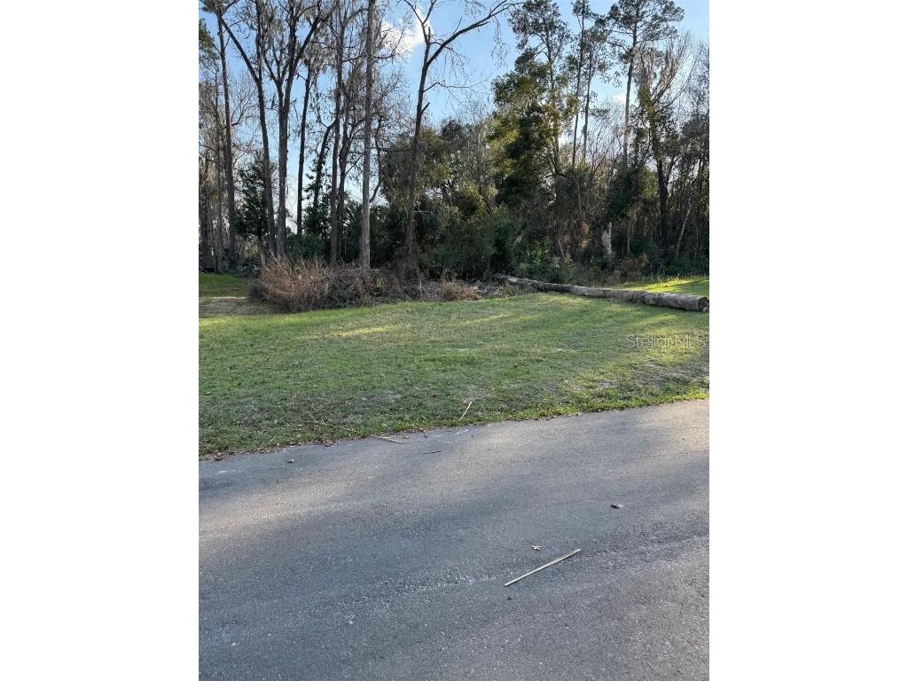 SE 119th Street Belleview FL 34420 OM695085 image1