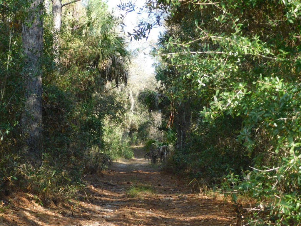 SE 120 Court Morriston FL 32668 OM715309 image11