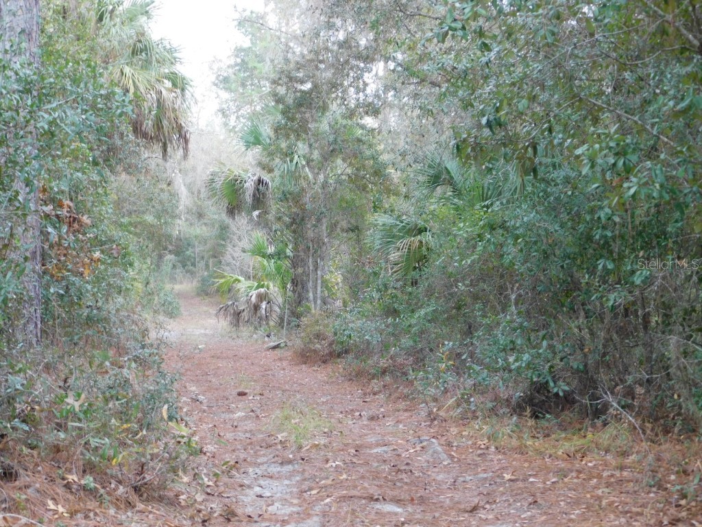 SE 120 Court Morriston FL 32668 OM715309 image12