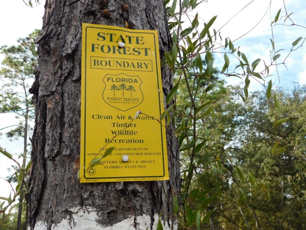 SE 120 Court Morriston FL 32668 OM715309 image13