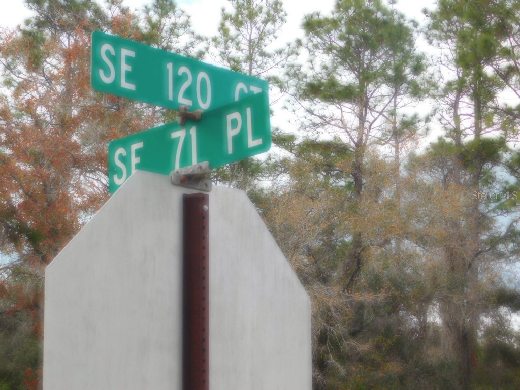 SE 120 Court Morriston FL 32668 OM715309 image15