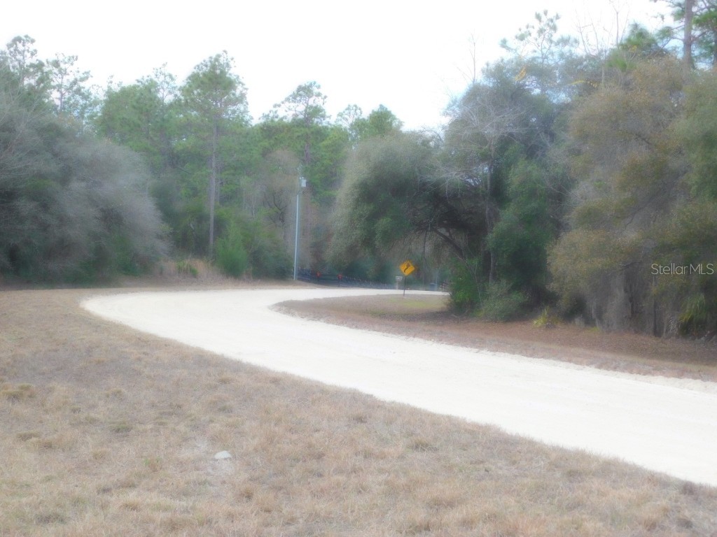 SE 120 Court Morriston FL 32668 OM715309 image16