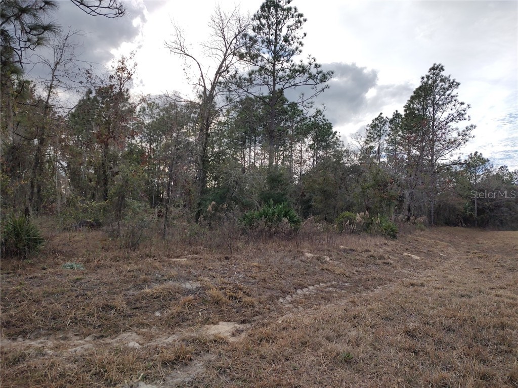 SE 120 Court Morriston FL 32668 OM715309 image9