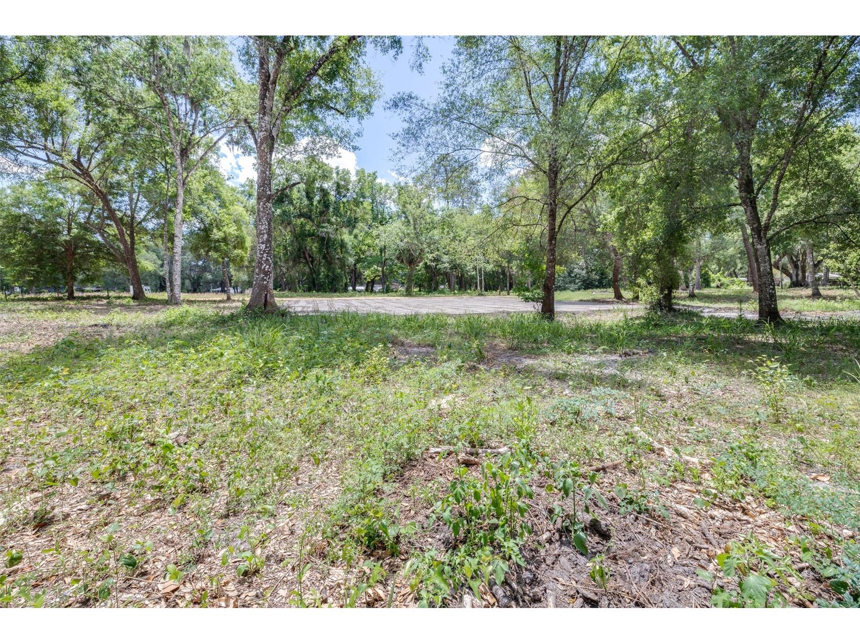 SE 124th Avenue Webster FL 33597 O6401677 image5