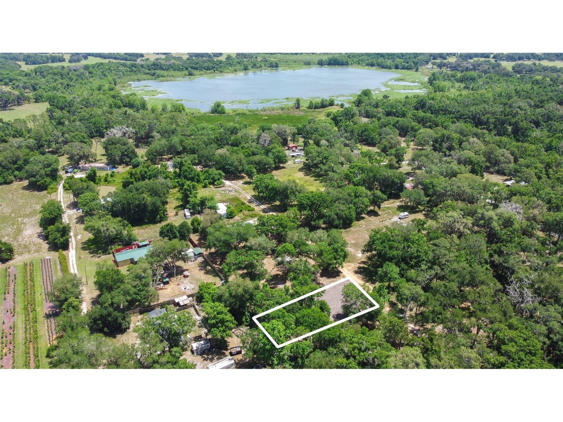 SE 124th Avenue Webster FL 33597 O6401677 image8