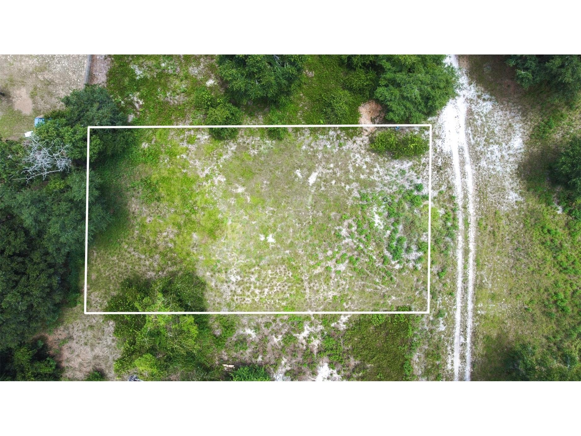 SE 124th Avenue Webster FL 33597 O6424191 image8