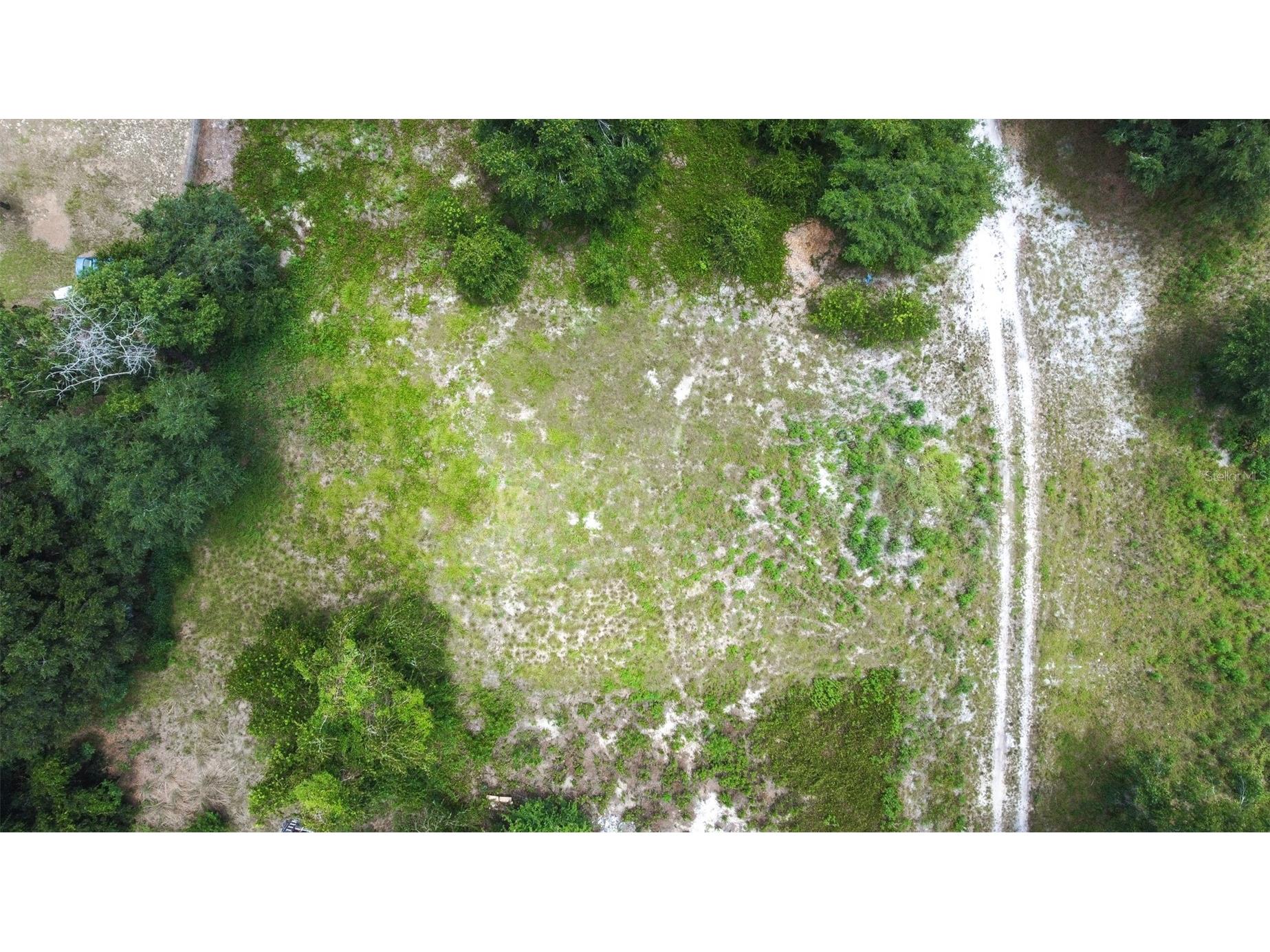 SE 124th Avenue Webster FL 33597 O6424191 image9
