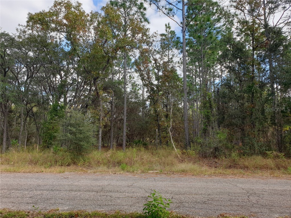 SE 124th Court Dunnellon FL 34431 A4587721 image1