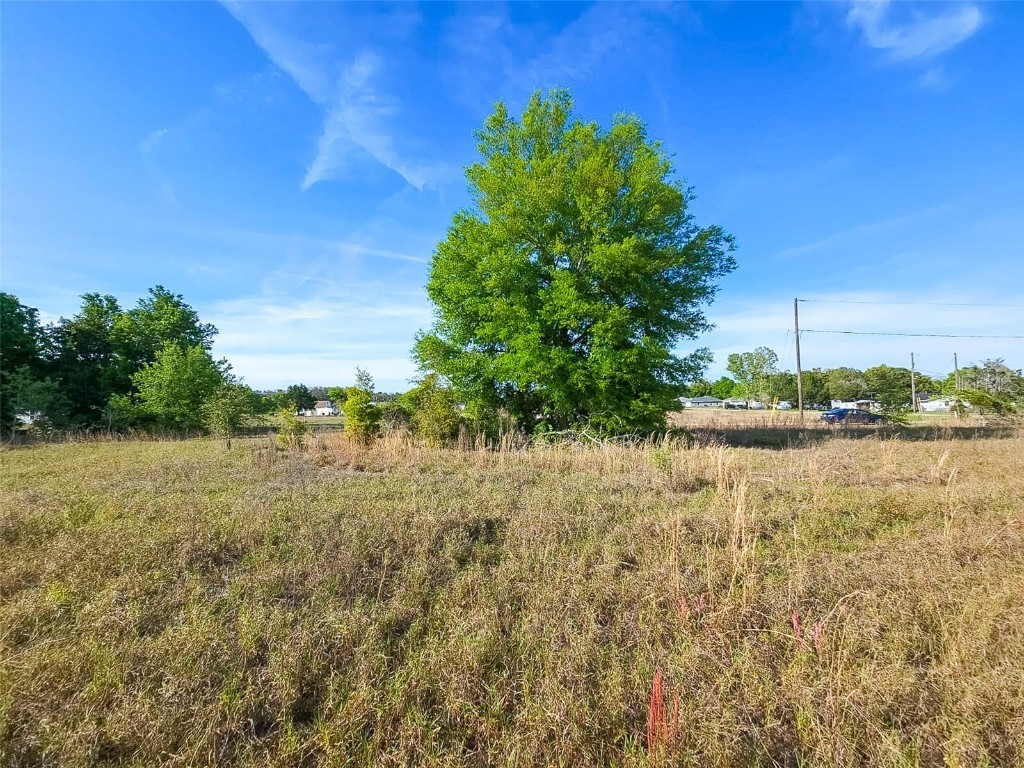 SE 125 Street Belleview FL 34420 S5104923 image1