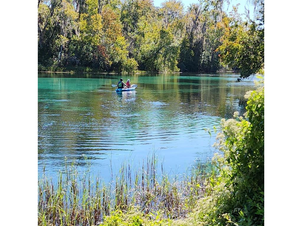 SE 125th Court Dunnellon FL 34431 OM710698 image10