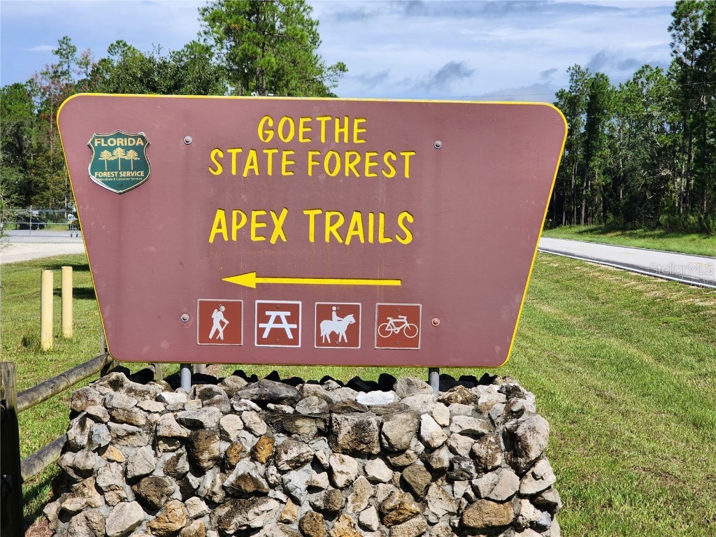 SE 125th Court Dunnellon FL 34431 OM710698 image13