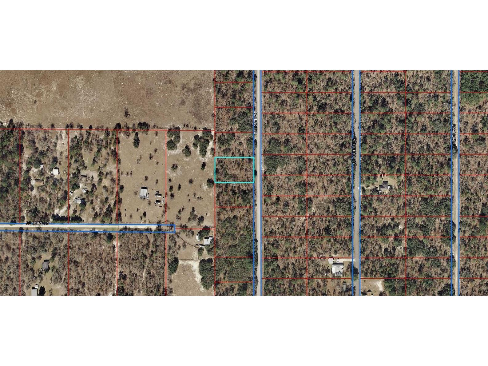 SE 125th Court Dunnellon FL 34431 OM710698 image3