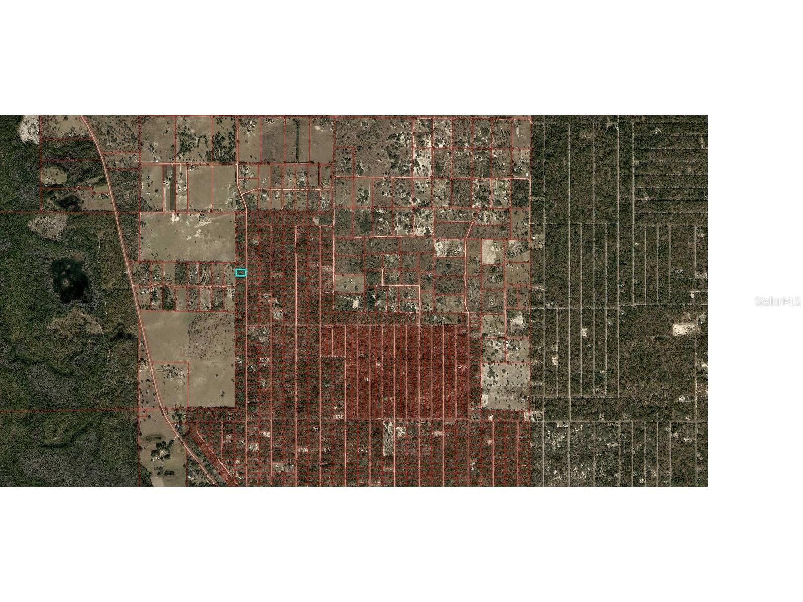 SE 125th Court Dunnellon FL 34431 OM710698 image4