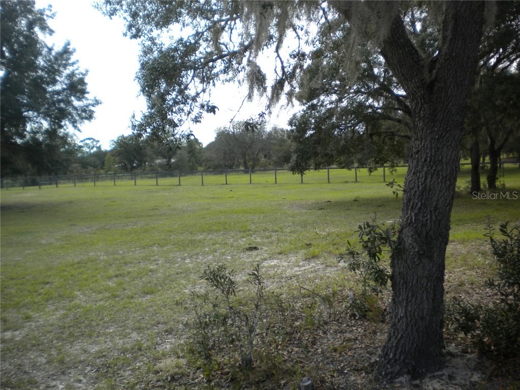 SE 125th Court Dunnellon FL 34431 OM710698 image7
