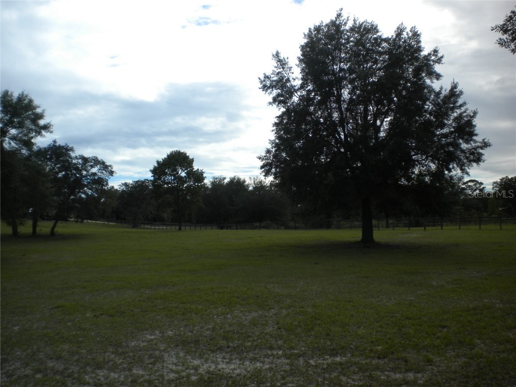 SE 125th Court Dunnellon FL 34431 OM710698 image8