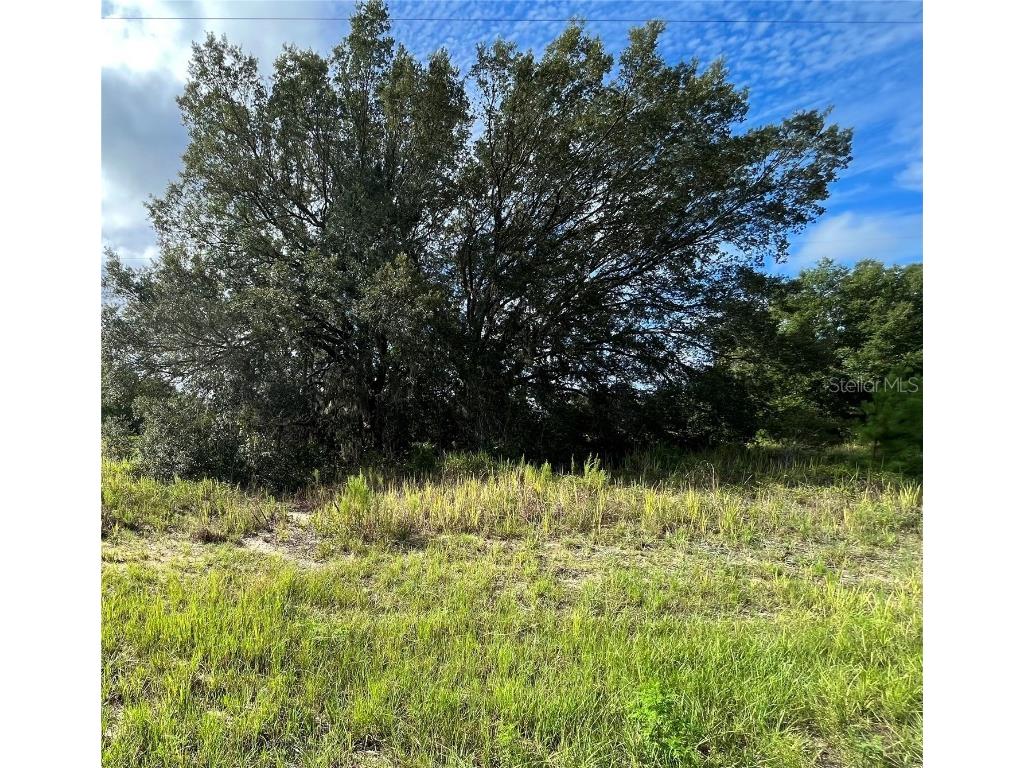 Se 125th Lane Belleview FL 34420 OM656303 image1