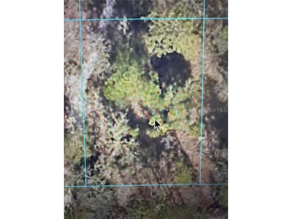 SE 125th Lane Belleview FL 34420 OM684406 image1